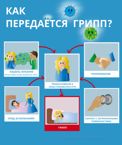 Информационная кампания по гриппу и ОРВИ.